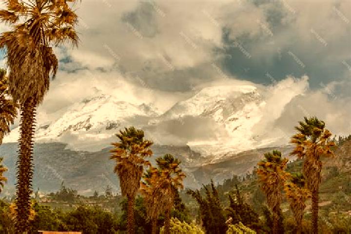 Escorts Yungay, Peru — Local Companions