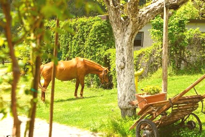 Escorts Zagarise, Italy — Local Companions