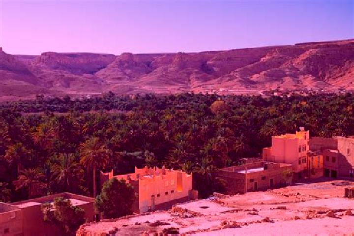 Escorts Zagora, Morocco — Local Companions