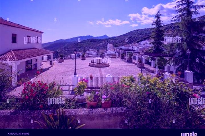 Escorts Zahara, Spain — Local Companions