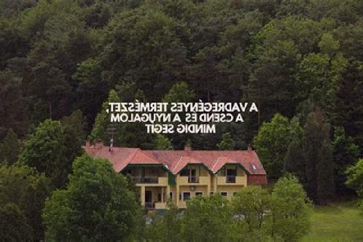 Escorts Zalaszentgrot, Hungary — Local Companions