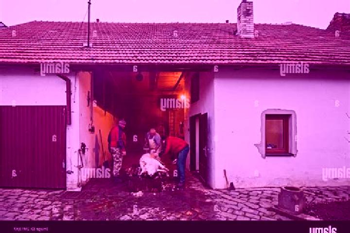 Escorts Zbysov, Czech Republic — Local Companions