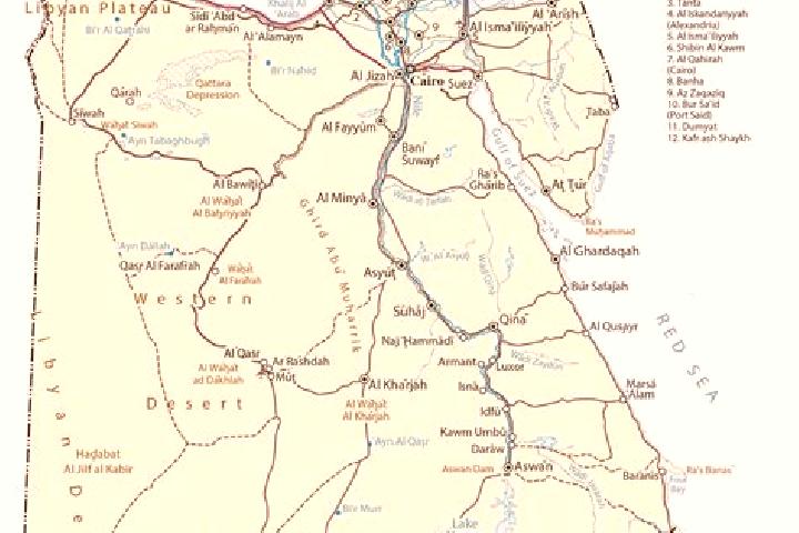 Escorts Zefta, Egypt — Local Companions