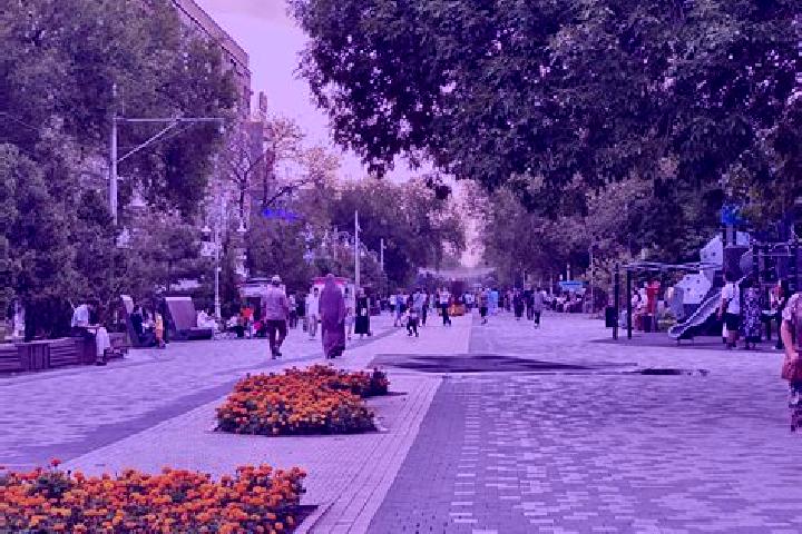 Escorts Zhibek Zholy, Kazakhstan — Local Companions