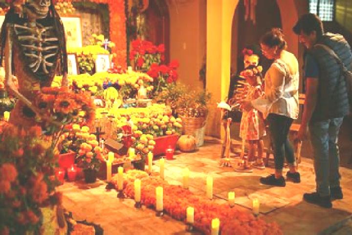 Escorts Zipiajo, Mexico — Local Companions