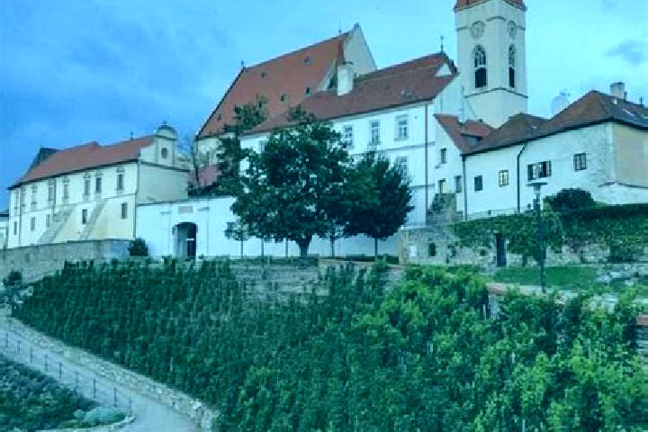 Escorts Znojmo, Czech Republic — Local Companions