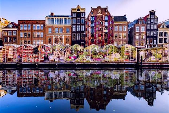 Escorts Zonderwijk, Netherlands — Local Companions