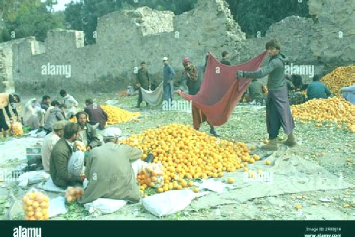 Escorts Zor Kot, Afghanistan — Local Companions