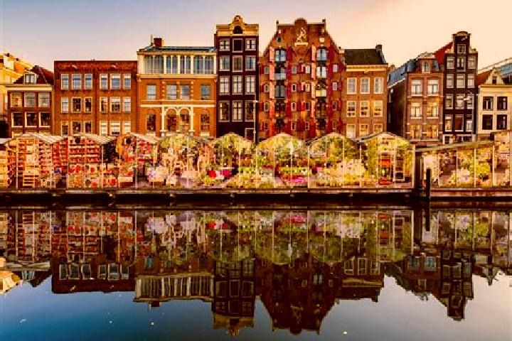 Escorts Zundert, Netherlands — Local Companions