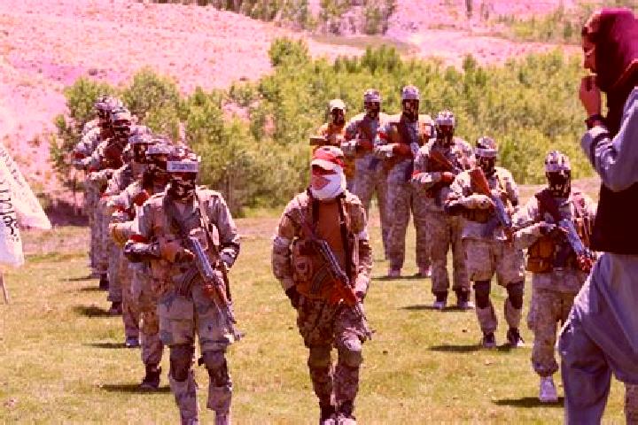 Escorts Zurmat, Afghanistan — Local Companions