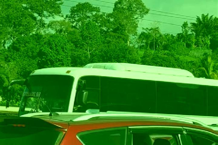 Eva, 20 — Escort in La Guama, Honduras