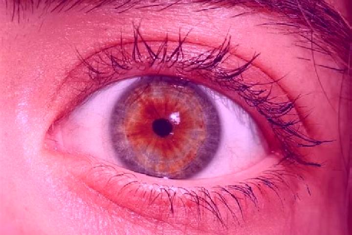 Eva, 21, a red hazel-eyed european companion based in Argithea. Offering Girlfriend Experience, Fetish, 69. Available for incall and outcall, day and evening...