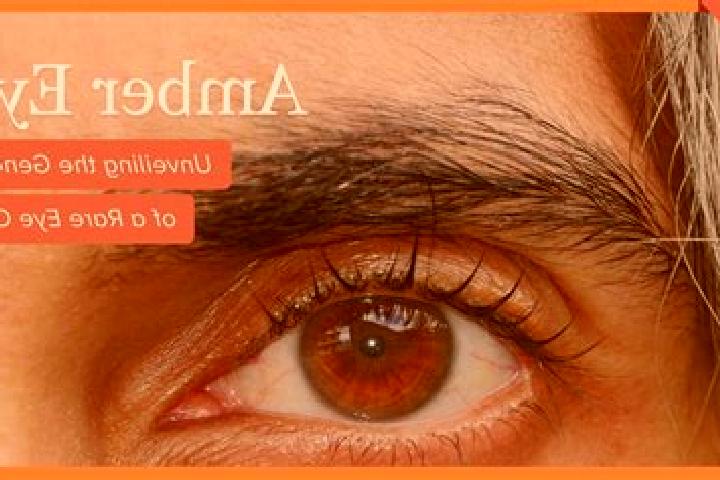 Eva, 23, a black amber-eyed mixed companion based in Metsovo. Offering Deep French Kissing, GFE, Overnight. Available for incall and outcall, overnight booki...