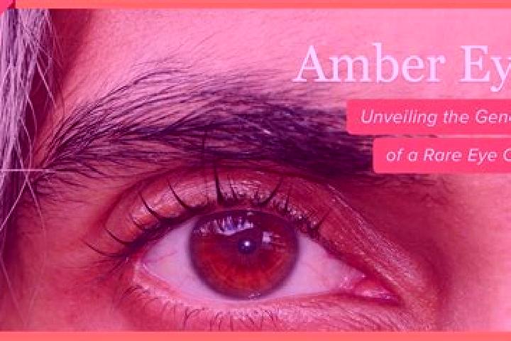 Eva, 23, a red amber-eyed mediterranean companion based in Yerbabuena. Offering Couples, Duos, Tantra, Striptease. Available for incall and outcall, day and ...