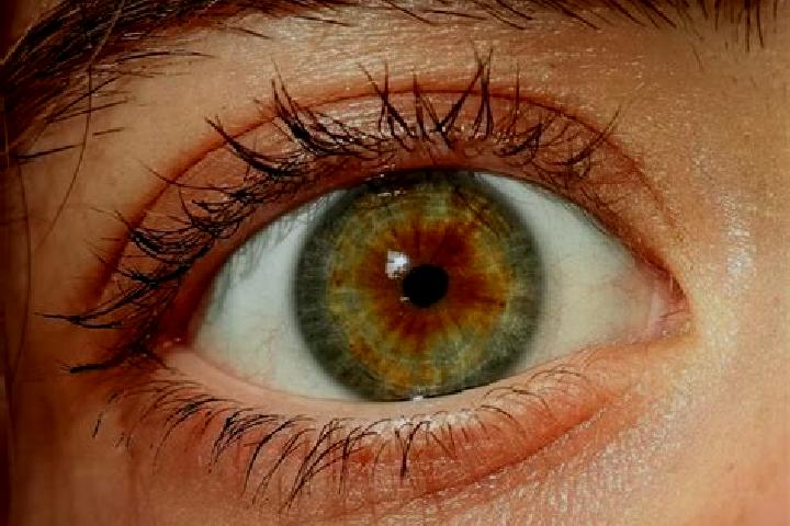 Eva, 24, a red hazel-eyed slavic companion based in Portico di Romagna. Offering Duos, Massage, Overnight. Available for incall and outcall, day and evening ...
