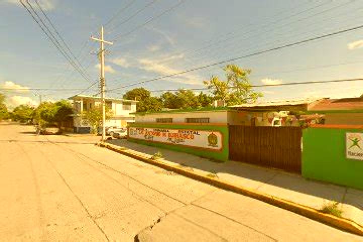 Eva, 24 — Escort in Antonio M. Quirazco, Mexico
