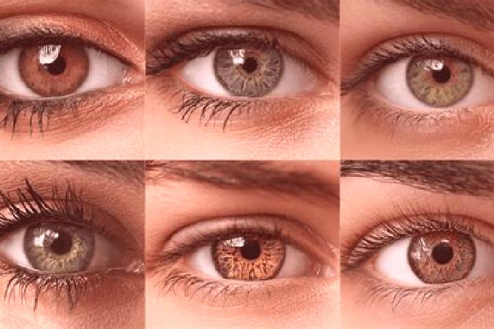 Eva, 26, a chestnut hazel-eyed middle eastern companion based in Tungipara. Offering BDSM, Fetish, Massage, Dinner Date. Available for incall and outcall, ov...