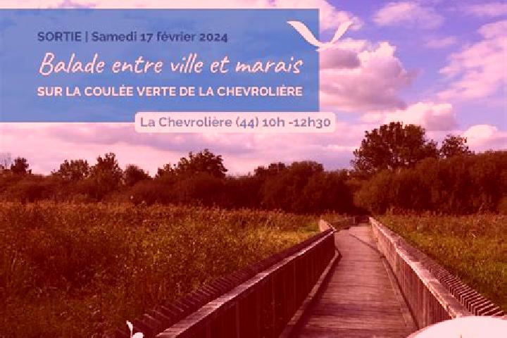 Eva, 26 — Escort in La Chevroliere, France