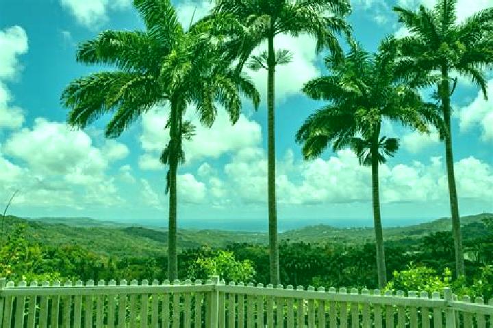 Eva, 26 — Escort in Welchman Hall, Barbados