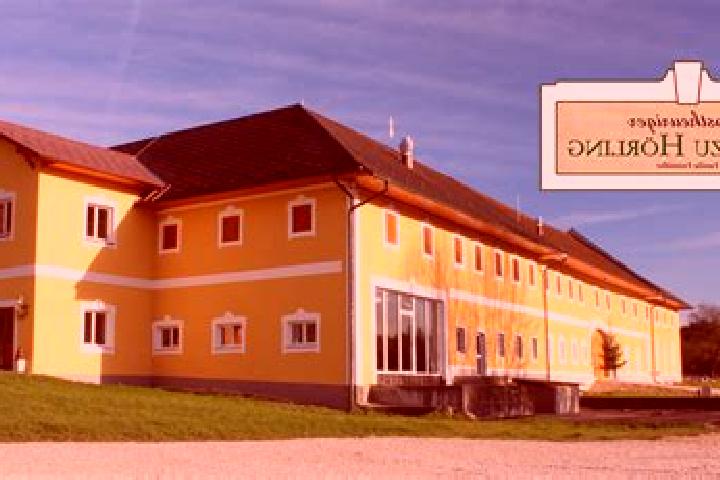 Eva, 27 — Escort in Buchkirchen, Austria