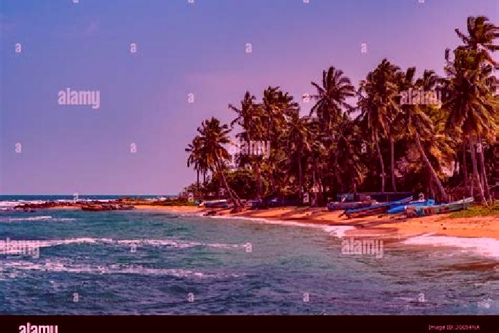 Eva, 27 — Escort in Point Pedro, Sri Lanka
