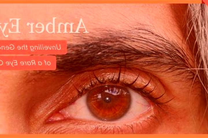 Eva, 28, a red amber-eyed european companion based in Vycapy-Opatovce. Offering Duos, Travel Companion, Dinner Date, Deep French Kissing. Available for incal...