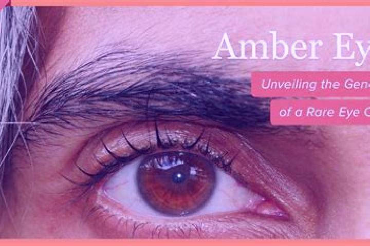 Eva, 29, a red amber-eyed caucasian companion based in Aguas de Lindoia. Offering Striptease, Party Girl, Erotic Massage, Roleplay. Available for incall and ...