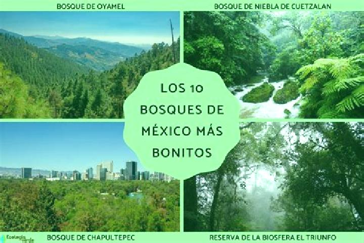 Eva, 30 — Escort in Bosques de la Magdalena, Mexico