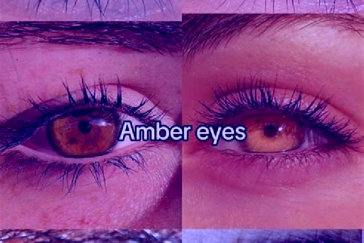 Eva, 35, a chestnut amber-eyed mediterranean companion based in Carter Lake. Offering Travel Companion, Duos, A-Level. Available for incall and outcall, over...