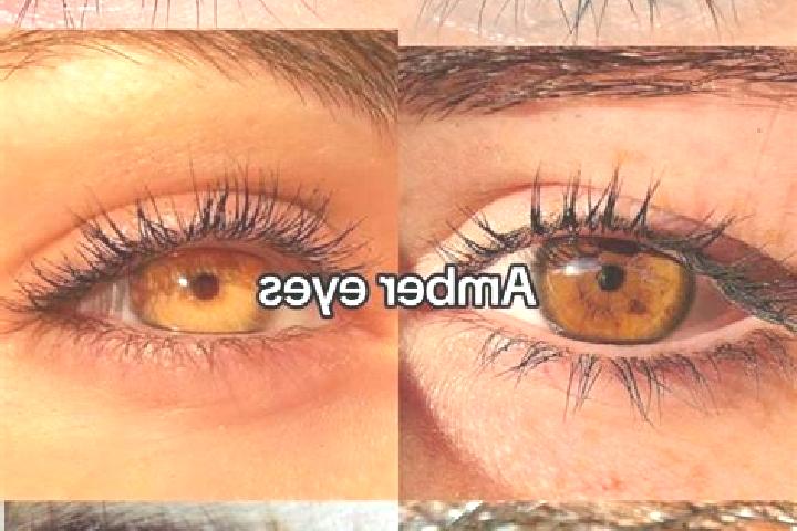 Eva, 35, a chestnut amber-eyed slavic companion based in Mala Zubivshchyna. Offering Roleplay, GFE, Tantra, BDSM. Available for incall and outcall, day and e...