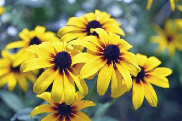 Eva, 35, a red dark-eyed mediterranean companion based in Farrington. Offering Fetish, 69. Available for incall and outcall, day and evening dates.
