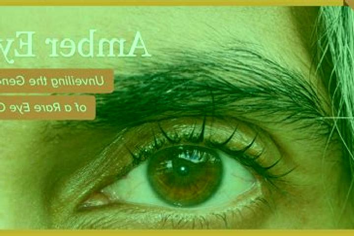 Eva, 36, a black amber-eyed mixed companion based in Aldtsjerk. Offering GFE, Prostate Massage, Couples, Tantra. Available for incall and outcall, day and ev...