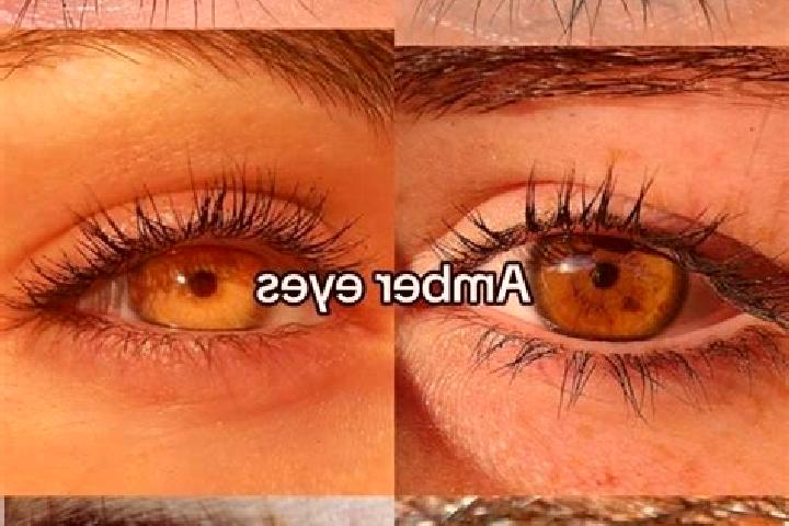 Eva, 36, a chestnut amber-eyed mediterranean companion based in Makuhari. Offering Travel Companion, Dinner Date, Tantra. Available for incall and outcall, o...