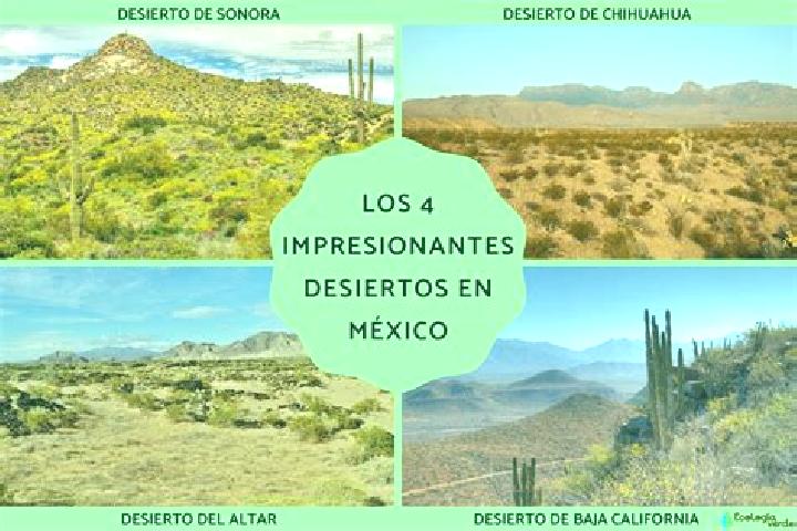 Eva, 36 — Escort in El Desierto, Mexico