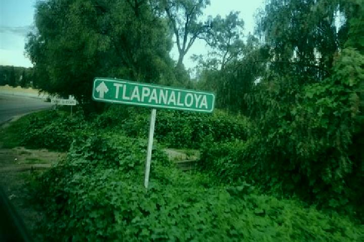 Eva, 36 — Escort in Tlapanaloya, Mexico