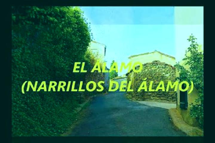 Eva, 37 — Escort in Narrillos del Alamo, Spain