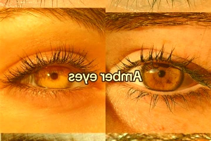 Evelyn, 20, a brunette amber-eyed caribbean companion based in Man Wein. Offering Couples, OWO, Tantra. Available for incall and outcall, day and evening dates.