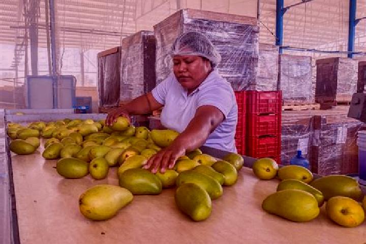 Evelyn, 21 — Escort in Plan de los Mangos, Mexico