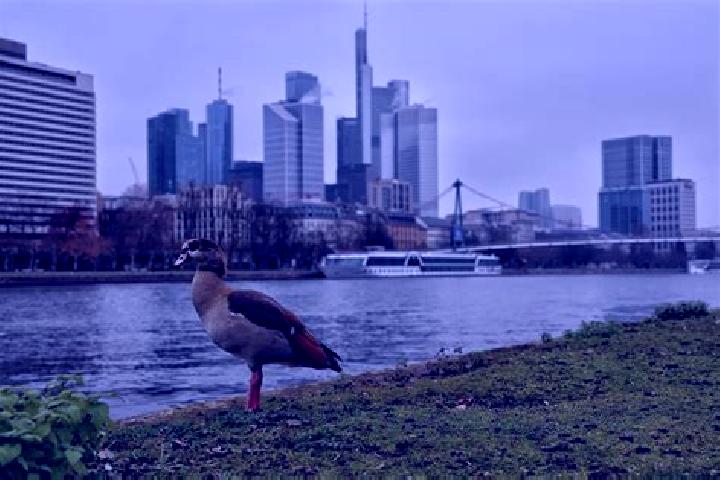 Evelyn, 23 — Escort in Frankfurt am Main, Germany