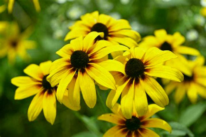 Evelyn, 25, a black brown-eyed european companion based in Rybnaya Sloboda. Offering CIM, Striptease, Duos. Available for incall and outcall, overnight booki...