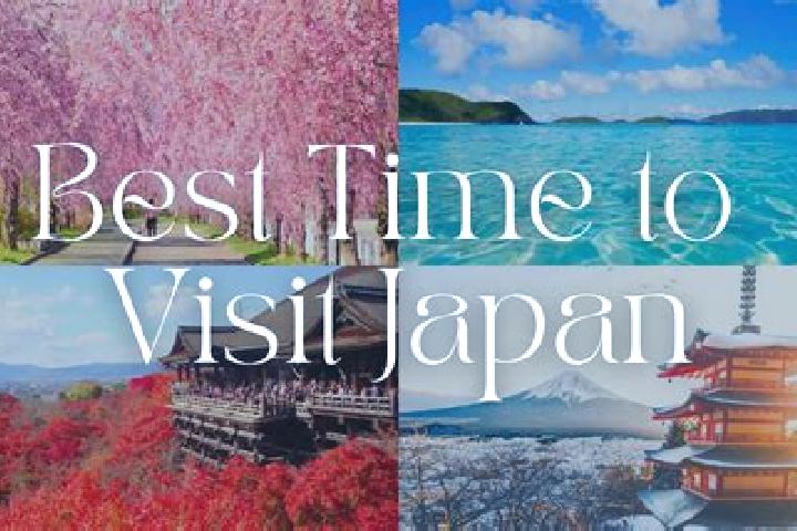 Evelyn, 25 — Escort in Mishohirajo, Japan