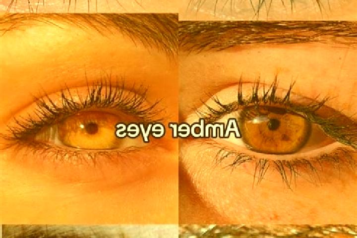 Evelyn, 26, a chestnut amber-eyed caucasian companion based in Weddingstedt. Offering Girlfriend Experience, Prostate Massage, Fetish. Available for incall a...