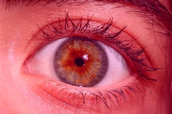 Evelyn, 29, a red hazel-eyed asian companion based in Ooij. Offering 69, Duos, Striptease, Domination. Available for incall and outcall, overnight bookings a...