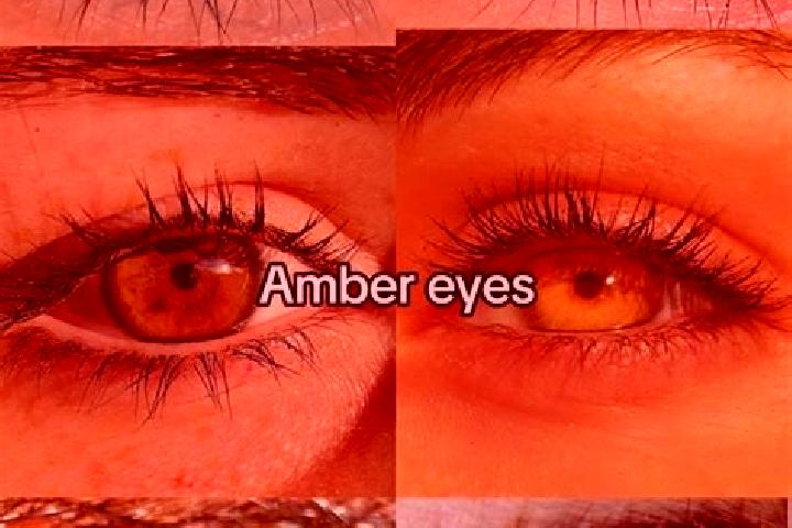 Evelyn, 30, a chestnut amber-eyed mixed companion based in Samboja. Offering 69, Erotic Massage, GFE, OWO. Available for incall and outcall, day and evening ...