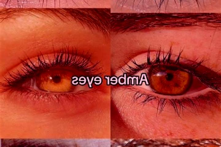 Evelyn, 31, a chestnut amber-eyed mixed companion based in Istead Rise. Offering OWO, BDSM, GFE, Erotic Massage, Domination. Available for incall and outcall...