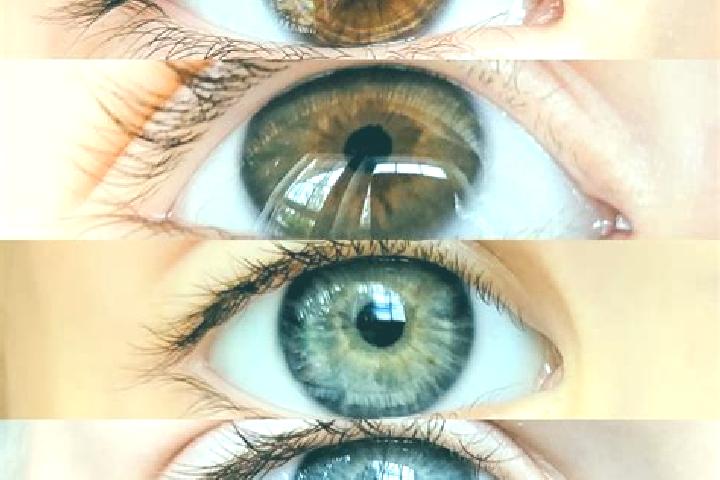 Evelyn, 32, a chestnut dark-eyed mixed companion based in Salama. Offering Overnight, Duos, Girlfriend Experience, Fetish, Massage. Available for incall and ...