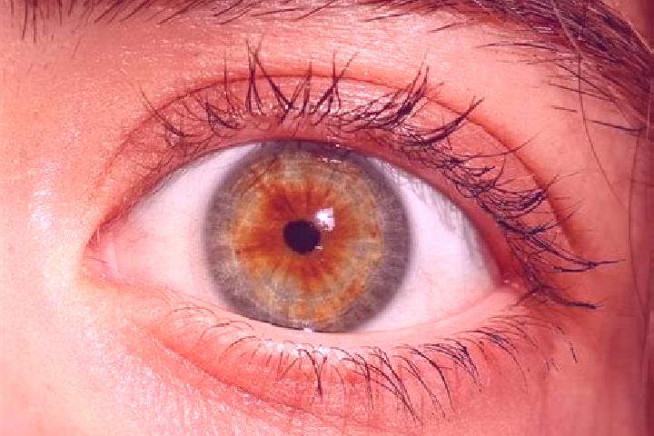 Evelyn, 33, a red hazel-eyed indian companion based in South Nanango. Offering CIM, OWO, Striptease. Available for incall and outcall, overnight bookings ava...