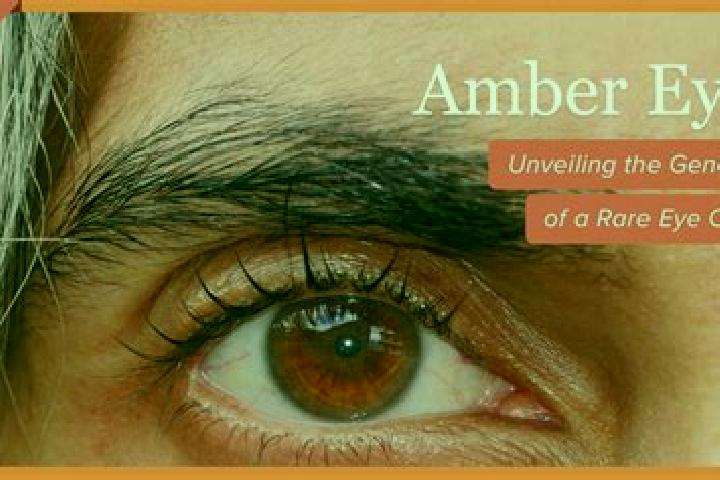 Evelyn, 36, a black amber-eyed slavic companion based in Napnapan. Offering Fetish, Deep French Kissing, CIM, Striptease. Available for incall and outcall, d...