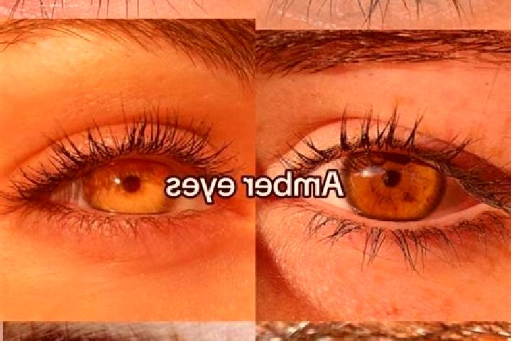 Evelyn, 37, a chestnut amber-eyed asian companion based in Ciusul. Offering Couples, Tantra, Striptease, CIM. Available for incall and outcall, day and eveni...