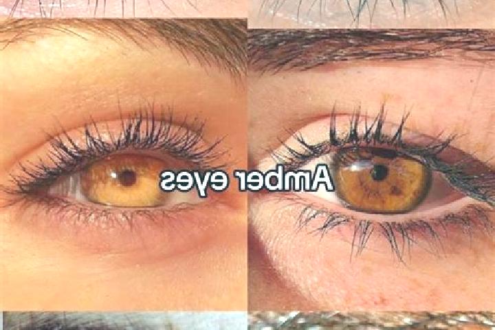Evelyn, 37, a chestnut amber-eyed european companion based in Botngard. Offering Travel Companion, Dinner Date. Available for incall and outcall, day and eve...